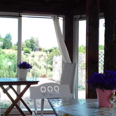 B&B Antico Casale Fabrizi 벨레트리