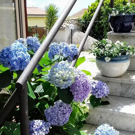 Antico Casale Fabrizi Velletri