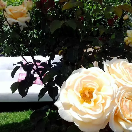 Antico Casale Fabrizi Nocleg ze śniadaniem