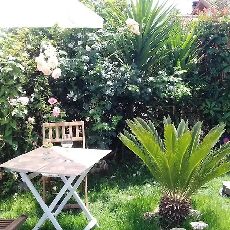 Antico Casale Fabrizi Bed & Breakfast Velletri
